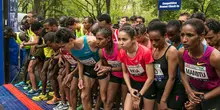 Runners at UAE Healthy Kidney 10K