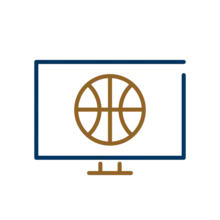 uae basketball televised icon